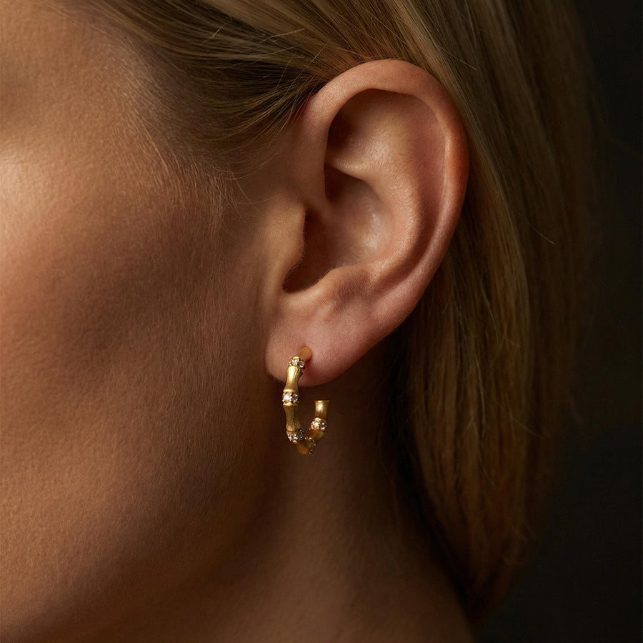 Bamboo Texture Hoops